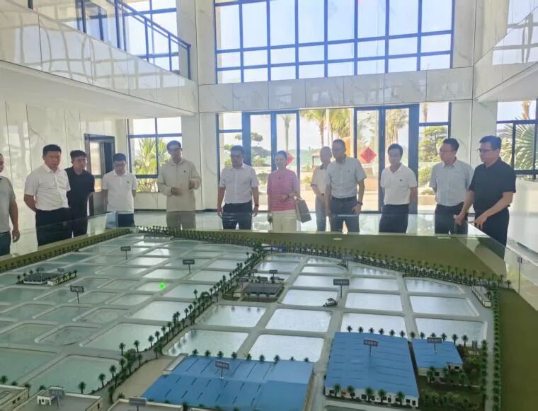 政企協(xié)同謀發(fā)展｜中山市政企代表團赴晨海水產(chǎn)開展?jié)O業(yè)現(xiàn)代化專項考察